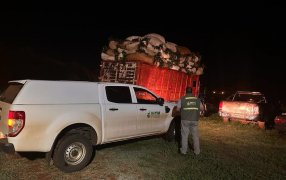 Tras operativos del INYM, detuvieron a individuos que exhibieron remitos de hoja verde falsificados