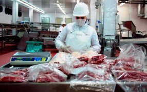 “Dólar carne”: Por el derrumbe del mercado chino, frigoríficos piden eliminar retenciones