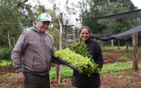 Apóstoles: Continúa la entrega de plantines a productores del Municipio, se trata de bandejas de hortalizas provenientes del Vivero Municipal