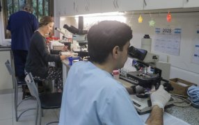 Factor humano e innovación tecnológica, roles fundamentales en la cobertura de la alta demanda en el Laboratorio Central de Misiones
