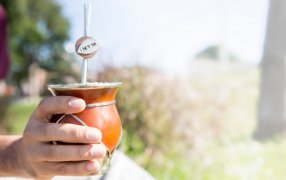 Los efectos benéficos de consumir yerba mate ya forman parte del temario en los Congresos Médicos