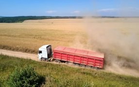 El flete en camión se lleva hasta 33% del precio de los granos y es hasta 75% más caro que en países competidores