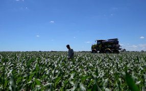 Yara presentará su propuesta comercial en el Congreso de Distribuidores del Agro