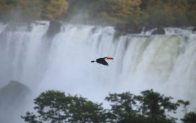 Gracias a la promoción en todo el país, la provincia de Misiones alcanzará una ocupación hotelera del 80% en todos sus destinos durante vacaciones