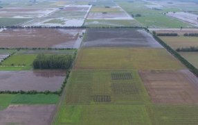 Inundaciones: Cómo mitigar el impacto de más de 500 milímetros en apenas dos semanas