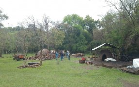 Misiones: Entrega de plantines de eucaliptus a productores carboneros y sus familias