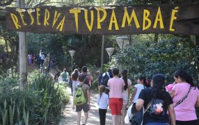 Vacaciones de Invierno 2024 en Apóstoles: Paseo por la Reserva TupáMbaé, con la participación de la familia en general