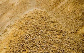 Habilitan la comercialización de una soja genéticamente modificada