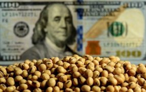 El balance final del “Dólar Soja 4”: El que más tiempo duró, pero el que menos dólares generó