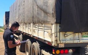 Tres camiones que transportaban soja fueron retenidos por distintas irregularidades