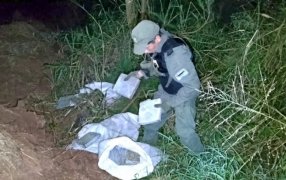 Gendarmería Nacional secuestró 83 kilos de marihuana acopiada en el monte: El estupefaciente fue hallado en un lugar merodeado por dos personas que se dieron a la fuga