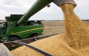 La noticia que esperaba el Gobierno Nacional: Se activaron con fuerza las ventas de soja