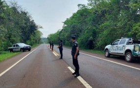 Misiones: Amplio operativo policial para dar con el conductor que mató a la yaguareté, el Gobierno Provincial ofrece una recompensa de dos millones de pesos