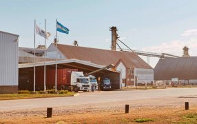 Una líder del mundo cripto va por Adecoagro