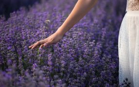 Cómo ayuda: ¿Por qué la jardinería ayuda a la salud mental?