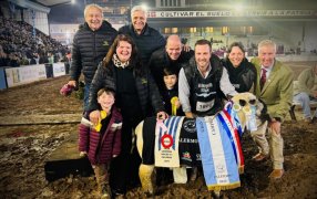 Genética ovina y tradición yerbatera de la provincia de Misiones al corazón del campo argentino