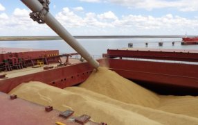 El sector agroexportador liquidó en Mayo 37% más en divisas que durante Abril