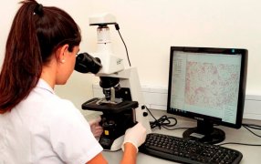 Europa y un plan ambientalista con muchas dudas: ¿Se pueden reemplazar químicos por biológicos?