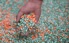 La rebaja del Impuesto PAIS activó las importaciones de fertilizantes, que estuvieron cerca de un récord
