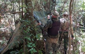 Misiones: Desmantelaron dos campamentos y trampas de cazadores furtivos