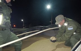 Gendarmería Nacional secuestró 92 toneladas de granos: Las oleaginosas eran trasladadas por tres camiones