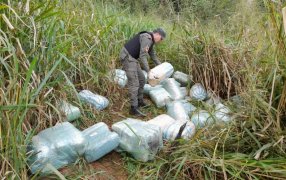 Media tonelada de marihuana se encontraba oculta entre malezas: Bultos conteniendo la sustancia vegetal fueron hallados por efectivos de Gendarmería Nacional