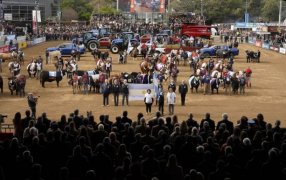 La Rural pone primera y vuelve a ser el centro de la escena del campo, el público urbano y la política