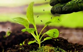 La Biofábrica de Misiones presentó sus avances en bioinsumos en el Encuentro Nacional de Biotecnología