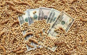 “Un nuevo horizonte para el sector”: Desde el campo y la agroindustria celebran el fin del cepo