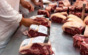 En lo que va del año, la exportación de carne bovina creció más del 14%