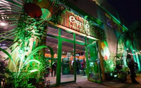 Expo Té Argentina: Economía, identidad y turismo