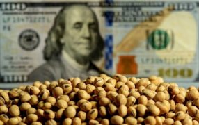 El balance del primer mes con retenciones “rebajadas”, las ventas de soja crecieron 32%