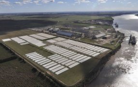 Con la soja y el maíz a la cabeza, las exportaciones del agro iniciaron el año con crecimiento