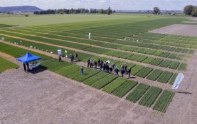 Inician los Centros de Experiencia Yara con foco en bioestimulación y micronutrientes