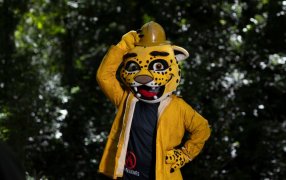 Misiones: La provincia presentó una nueva edición de “No Me Quemés” con enfoque integral y trabajo interinstitucional