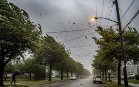 Cómo será el otoño 2026 en Argentina: Las temperaturas y precipitaciones según el pronóstico trimestral