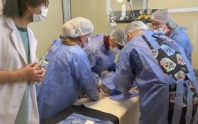 Misiones avanza en salud de alta complejidad: Primera infusión de Nusinersen en el Hospital de Pediatría Dr. Fernando Barreyro en la ciudad de Posadas