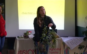 Apóstoles: Se realizó una capacitación sobre plantas alimenticias no convencionales, una propuesta orientada a promover la alimentación saludable