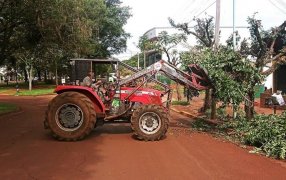 Apóstoles: En el mes de Mayo dará inicio la poda autorizada de árboles en el Sector II del Municipio