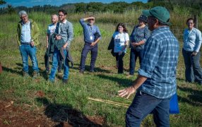 Capacitan a agricultores de Misiones en Fitomejoramiento Evolutivo para desarrollar semillas adaptadas a cada territorio