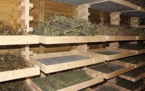 25 de Mayo: Productos deshidratados con identidad local en la Escuela de la Familia Agrícola Padre Antonio Sepp