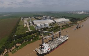 La nueva era de la industria aceitera: Comienza a procesar semillas destinadas a “Biofuels”