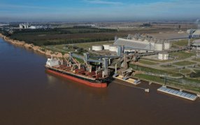 El trigo argentino es un “boom” global: Se multiplican los envíos a China y pelea mercados hasta en el Mar Negro