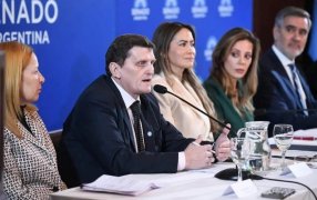 El Ministro Adolfo Safrán participó de la presentación del Proyecto de Ley de los Senadores por Misiones y expuso el caso de la provincia en el mercado de créditos de carbono