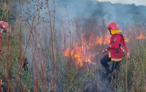 Misiones: Incendio de malezas en el Municipio de Santa Ana afectó cinco hectáreas de raleos de pino y pastizales