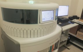 El Parque de la Salud Misiones a la vanguardia: Anatomía Patológica del Madariaga fortalece la biotecnología con un sistema automatizado de última tecnología