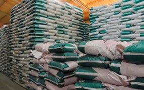 Desregulación semillera: Adelantan importantes novedades al sector