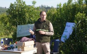 Apóstoles: Jornada de buenas prácticas en cosecha de yerba mate en el Paraje Coyal, que fortalecen la producción