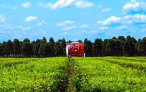 La cartera agraria de Misiones articula con Cancillería y sectores productivos para fortalecer exportaciones misioneras