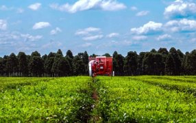 Acciones sustentables: Un año de transformación productiva con impacto ambiental, social y económico